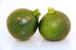 courgette rond