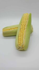maïskolven per 2 stuks