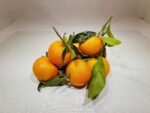 clementine per 1kg