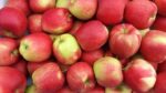 appels delbard per stuk (5-6st per kg)