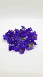 eetbare bloemen per dooosje