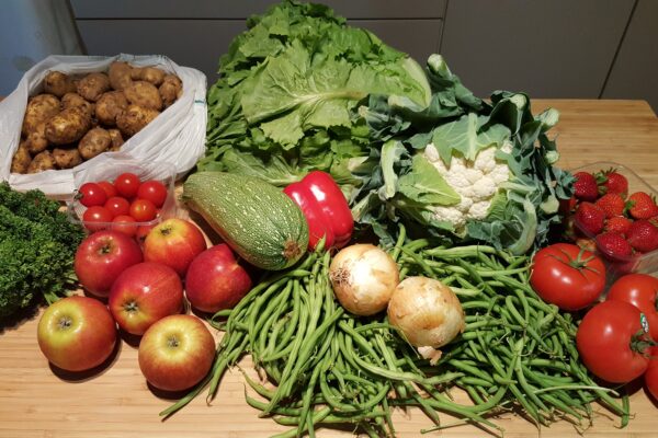 Seizoenspakket voor 4 personen / week 31