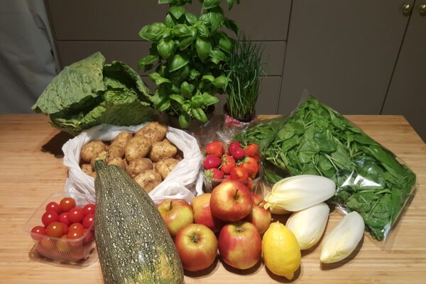Seizoenspakket voor 4 personen / week 32